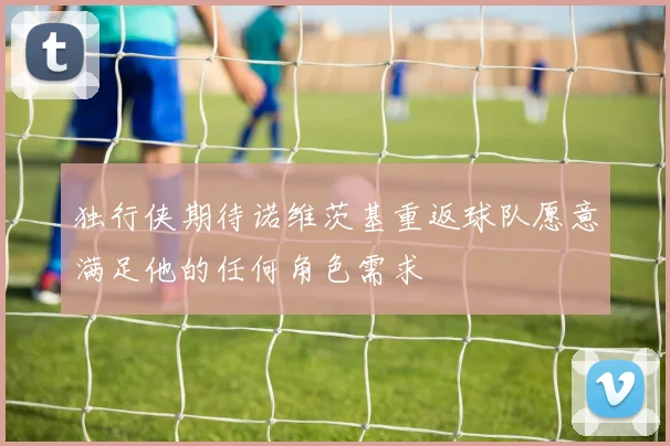 独行侠期待诺维茨基重返球队愿意满足他的任何角色需求